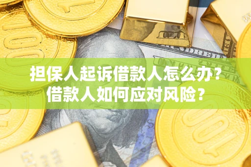 北京担保人起诉借款人怎么办？借款人如何应对风险？
