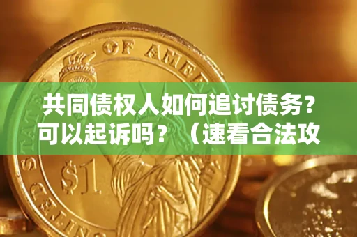 北京共同债权人如何追讨债务？可以起诉吗？（速看合法攻略）