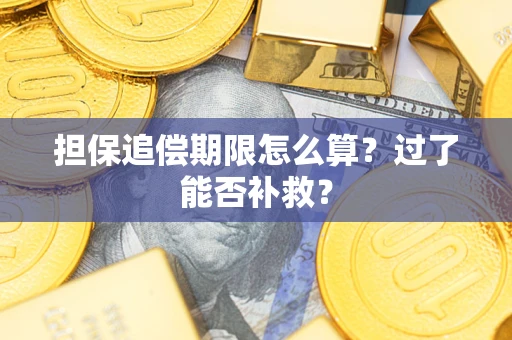 北京担保追偿期限怎么算？过了能否补救？